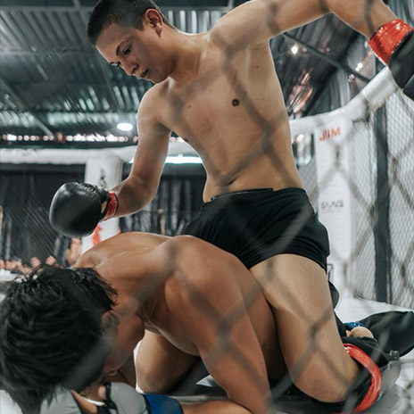 MMA